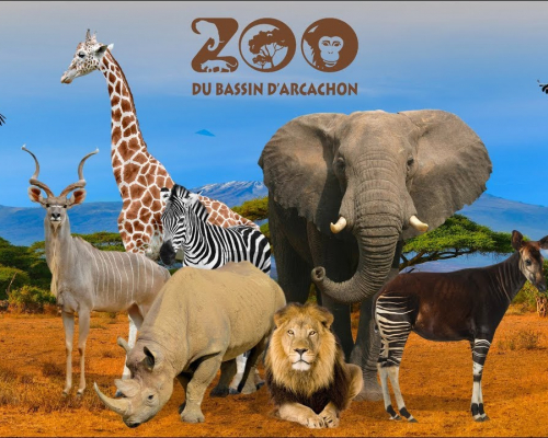 Le zoo du Bassin d’Arcachon