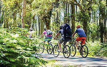 promenade vélo dans les Landes